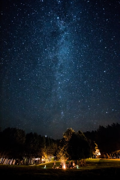 星夜下的棕树